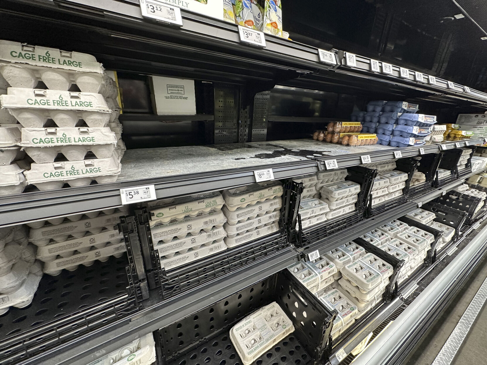Egg Prices